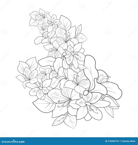 Illustration Sketch Contour Bouquet Of Azalea Flowers Azalea Flower