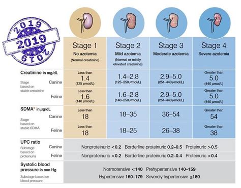 Nephrovet Updated 2019 Iris Ckd Staging System With Facebook