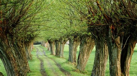 Spring Poland Wallpapers - Wallpaper Cave