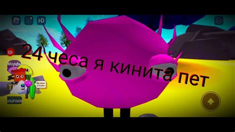 24 часа я Кинито Пет - YouTube