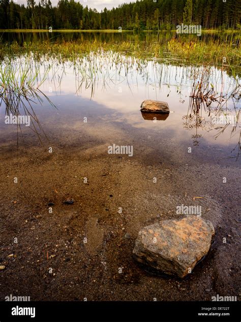 Woodland Lake At Stavåsen Hedmark Norway Stock Photo Alamy