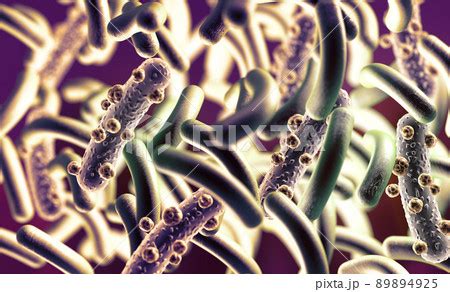 Microbacteria and bacterial organisms biology のイラスト素材 89894925 PIXTA