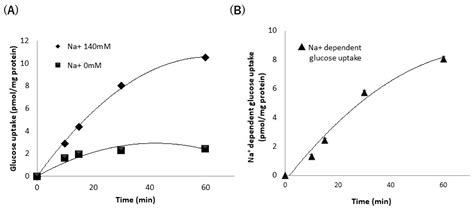 Nutrients Free Full Text Inhibitory Effect Of Tangeretin And