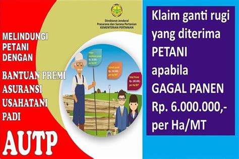 Asuransi Pertanian Selamatkan Petani Dari Kerugian Finansial