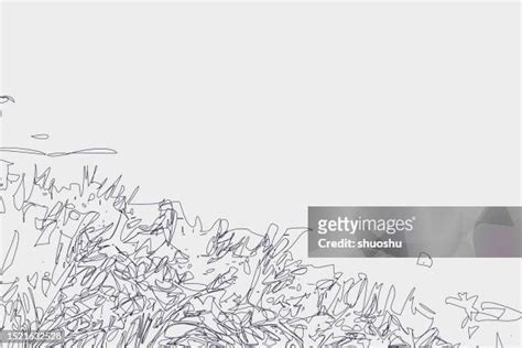 1,304 Grass Line Art Stock Photos, High-Res Pictures, and Images - Getty Images