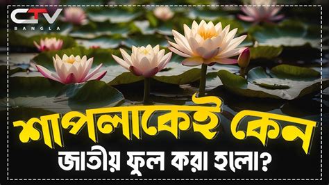 National Flower Of Bangladesh