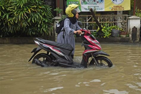 Lima Rt Terendam Banjir Imbas Hujan Guyur Jakarta