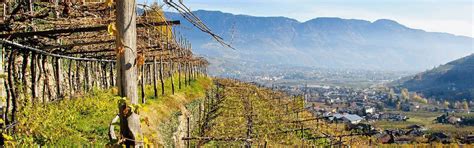 Meraner Vernatsch Algunder Rosengarten Burggr Fler Weinkellerei