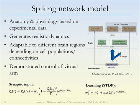 Ppt Multiscale Modeling Of Cortical Information Flow In Parkinson S