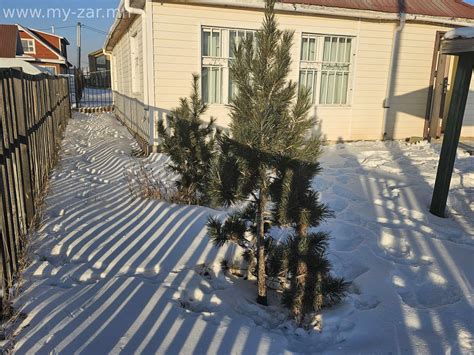 4 улирлын зуслангийн байшин зарна