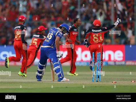 Royal Challengers Bangalore Players Celebrate The Dismissal Of Mumbai