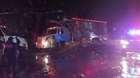 Lluvias Provocan Calles Inundadas Y Caída De árboles Provoca En Zona