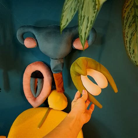 Vulva Clitoris Uterus And Bladder Pillow Set Rainbow Plushy Puppets For Sex Education Female