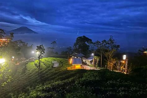 Kebun Teh Nglinggo Kulonprogo Tempat Ngisis Paling Atis Di Yogyakarta