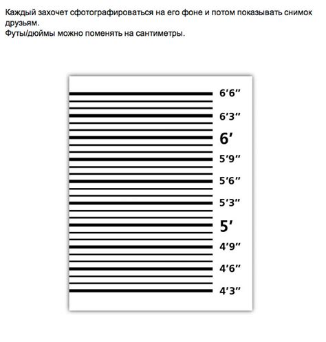 Создание плаката «Ростомер»
