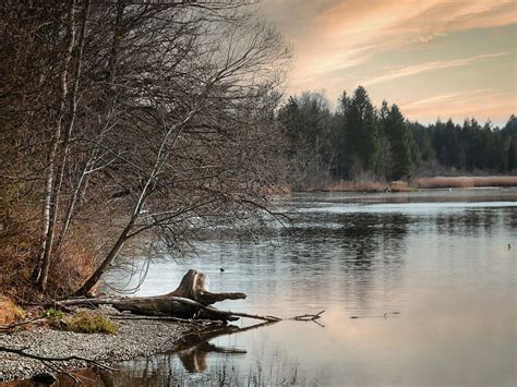 riverbank sunset flow  photo  pixabay