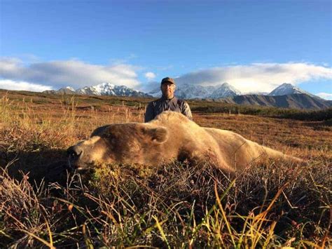 Alaska Brown Bear Hunts Litzen Guide Service Alaska Coastal Brown