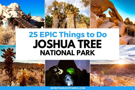 25 Epic Things To Do In Joshua Tree National Park Helpful Guide