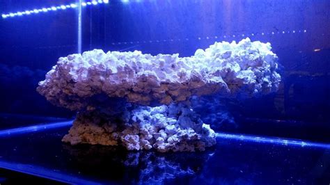 Aquascape Sculpture Live Rock For Marine Fish Coral Saltwater Reef Tank