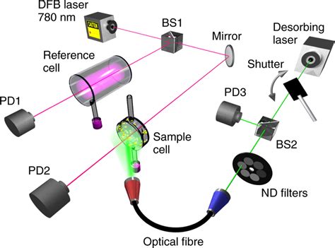 Schematic Diagram Of The Experimental Setup Dfb Distributed Feedback