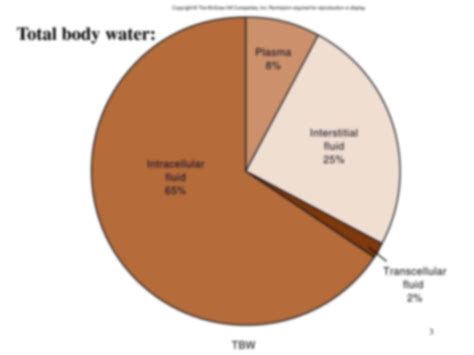 SOLUTION Fluid Compartments Of The Human Body Studypool