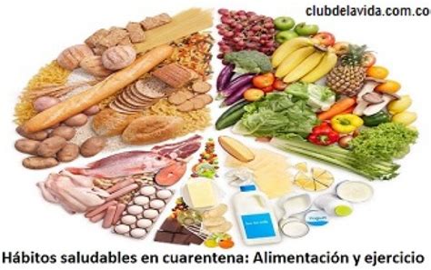 HÁbitos Saludables En Cuarentena El Club De La Vida Promotora