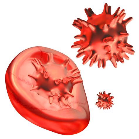 Blood Vessels Red Blood Cells And Pathogens In The Bloodstream 3D