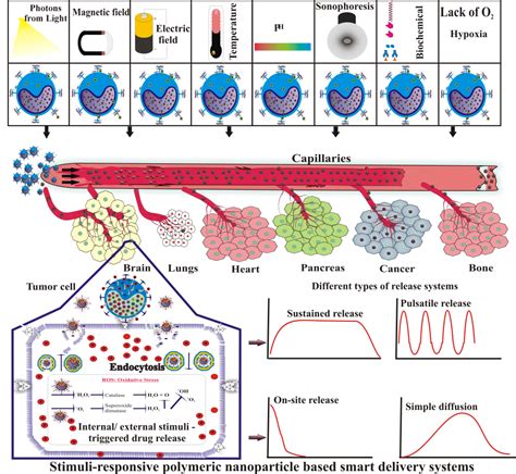 Polymer Nanoparticles For Smart Drug Delivery Intechopen