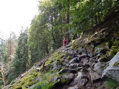 Sued Vogesen Elsass Col De La Schlucht Frankenthal Hohneck