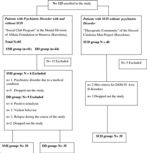 Participants Flow Chart Dd Dual Diagnosis Smi Severe Mental