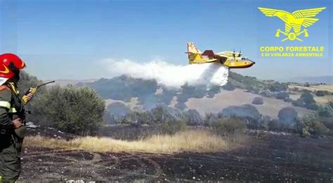 Vasto Incendio A Nule In Azione 4 Elicotteri E Il Canadair Cronache