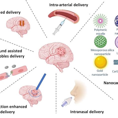 Drug Delivery Approaches For Targeted Delivery To Brain Created With