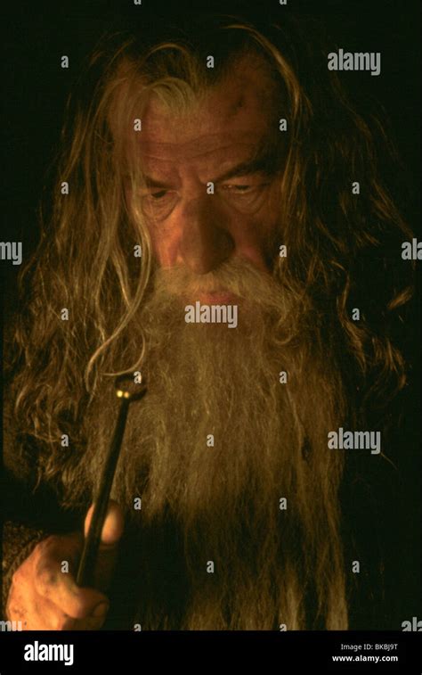 El Señor De Los Anillos La Comunidad Del Anillo 2001 Ian Mckellen