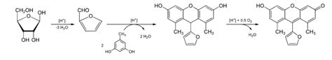 Análisis de carbohidratos Manual de laboratorio Quimicafacil net