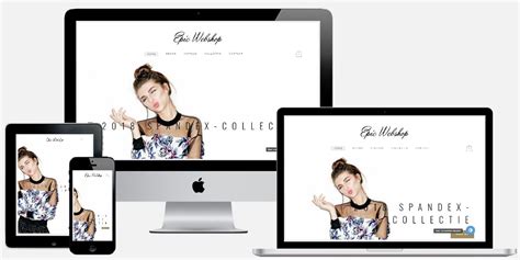 Professionele Woocommerce Webshop Laten Maken Epicwebsite