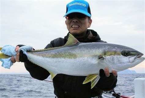 ヒラマサ狙いは泳がせ釣りが一番効果的！前アタリから本アタリを待つ！？プロ直伝のタックル選びから釣り方まで一挙大公開！