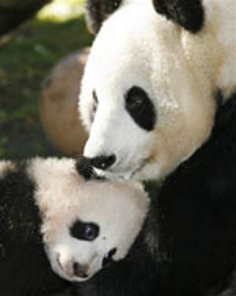 Loss of habitats irreplaceable, warn scientists