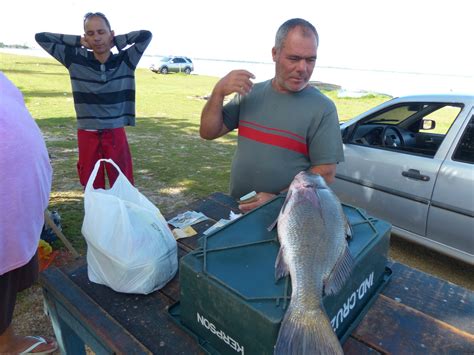 Pescador Artesanal Realiza A O Sem Infraestrutura Pea Observa O