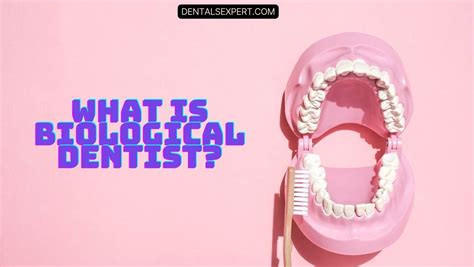 What Is Biological Dentist What Does They Do