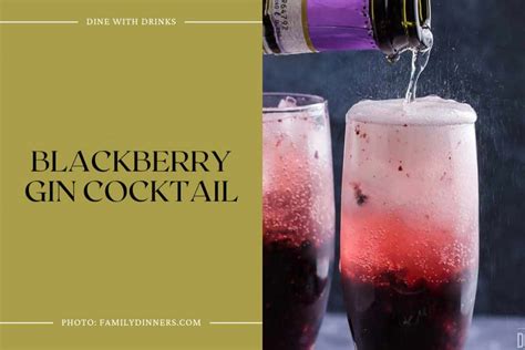 Fruity Gin Cocktails That Ll Add A Zest To Your Life Dinewithdrinks