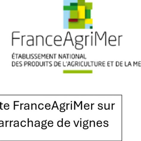 Enqu Te Franceagrimer Syndicat Des Vins De L Aoc Languedoc