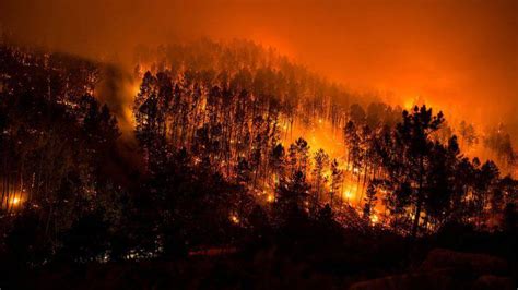 Los Peores Efectos Del Cambio Climático Provocan La Excepcional Ola De