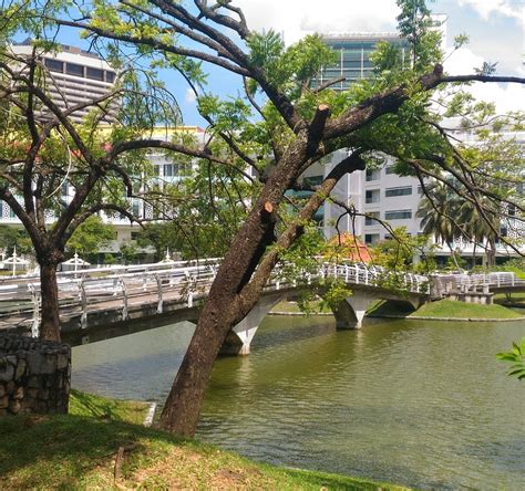 Taman Tasik Shah Alam Alles Wat U Moet Weten Voordat Je Gaat Met