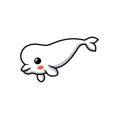 Premium Vector | Cute little beluga whale cartoon