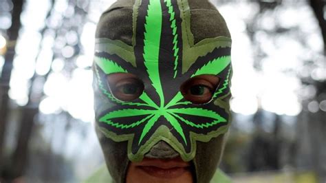 Por Qu No Ha Resultado Tan Rentable Cultivar Marihuana En Am Rica Latina Y Quienes Dominan El
