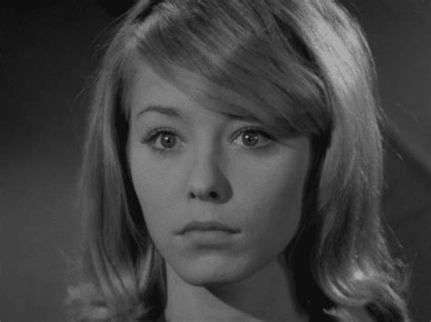 Jill Haworth Alchetron The Free Social Encyclopedia