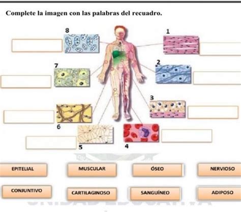 Ayuda Con Esto Lo Necesit Por Favor Brainly Lat