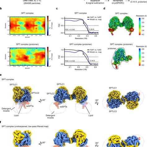 Representative Densities Of The Spt Orm Complex Sptlc Sheet