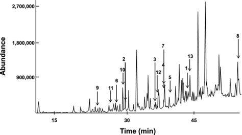 Gas Chromatography Mass Spectrometry Gc Ms Profile Of The Methanolic