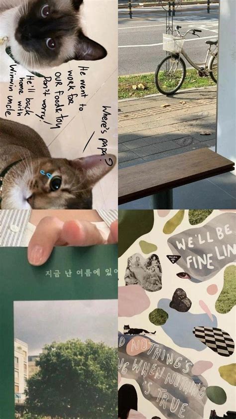 pin  diela  cute  winwin   work cute